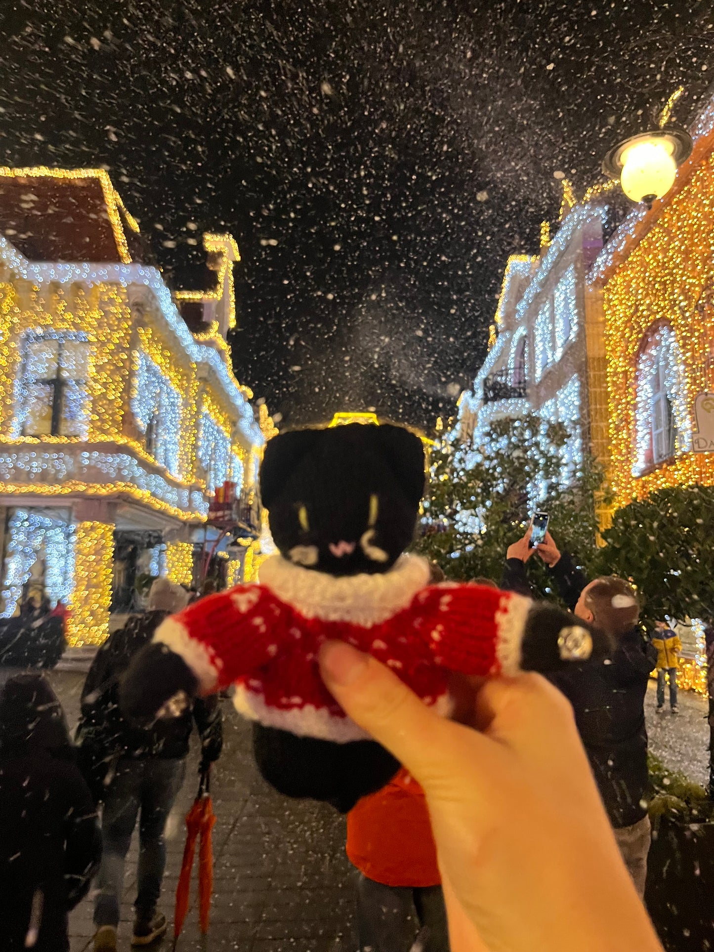 Cat jumpers